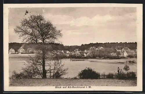 AK Alt-Buchhorst i. M., Blick auf den See