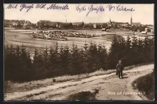 AK Falkenstein, Blick zum Ort