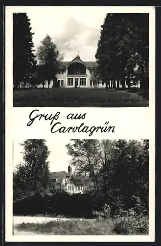 AK Carolagrün / Erzgeb., Gebäudeansichten