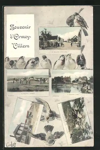 AK Ormoy-Villers, La Mairie, Rue Principale