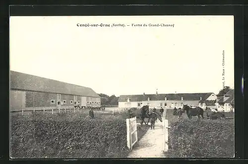 AK Congé-sur-Orne, Ferme du Grand-Chesnay, Gutshof