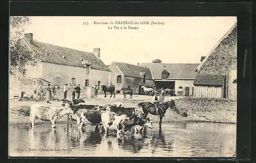 AK Chateau-du-Loir, la Vie à la Ferme