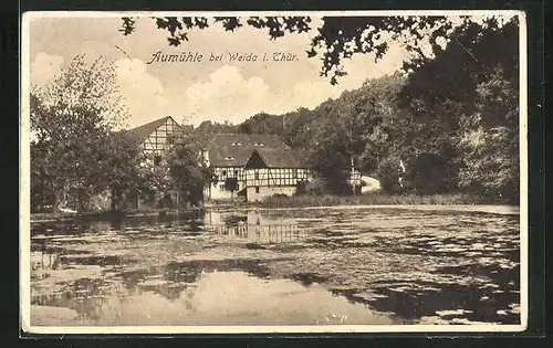 AK Weida /Thür., Gasthaus Aumühle über den Teich gesehen