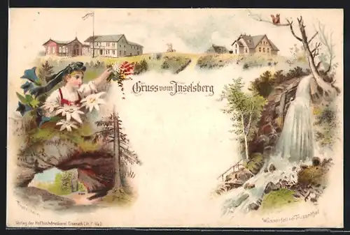 Lithographie Inselsberg, Gasthaus, Wasserfall