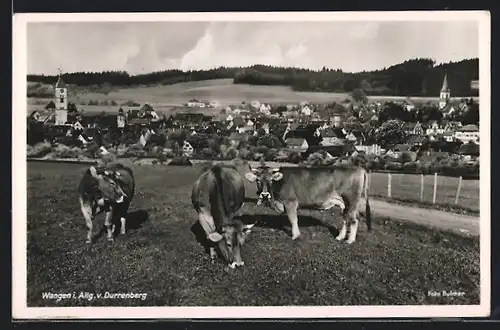 AK Wangen i. Allg. mit Kuhweide