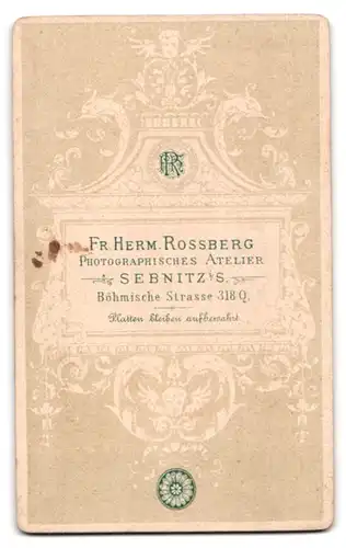 Fotografie Fr. Herm. Rossberg, Sebnitz i. S., Böhmische Str. 318 Q, Junger Herr im Anzug mit Krawatte