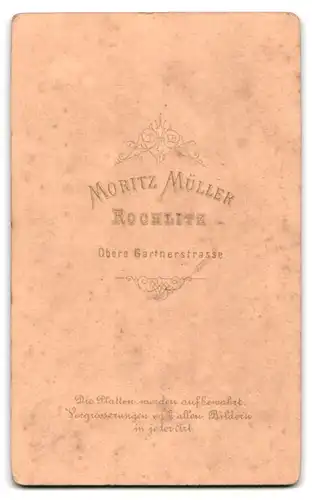 Fotografie Moritz Müller, Rochlitz, Obere Gärtnerstr., Älterer Herr mit Schnurrbart in grauem Anzug mit Fliege