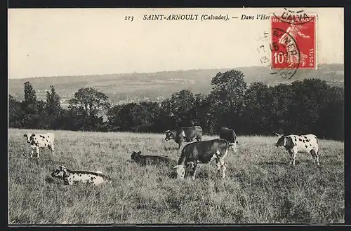 AK Saint-Arnoult, Dans l`Herde