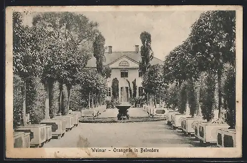 AK Weimar, Orangerie im Belvedère
