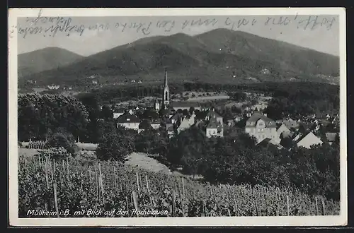 AK Müllheim i. B., Ortspartie mit Hochblauen