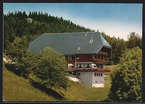 AK Hornberg /Schwarzw., Höhen-Gasthaus Schöne Aussicht