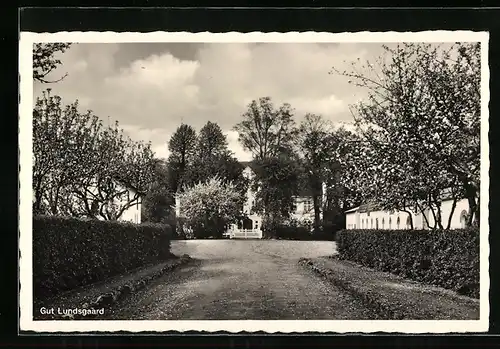 AK Gut Lundsgaard /Angeln, Ortsansicht von der Zufahrt aus, Serie Das schöne Angeln