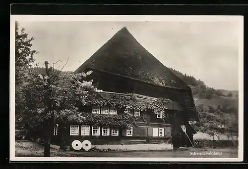 Passepartout-Lithographie Breitnau /Bad. Schwarzwald, Schwarzwaldhaus