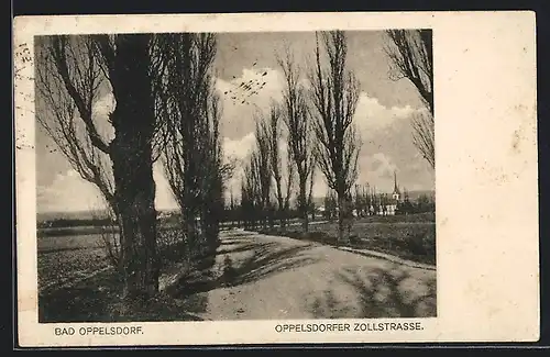 AK Bad Oppelsdorf, Oppelsdorfer Zollstrasse