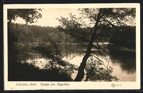 AK Siguldas, Gauja pie Siguldas