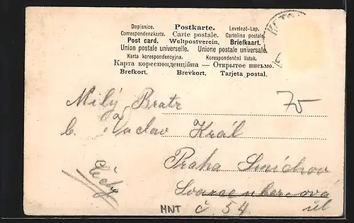 AK Kotor / Cattaro, Ortsansicht, Südseite