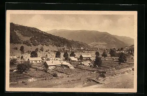 AK Kvasy, Gesamtansicht mit Gebäuden