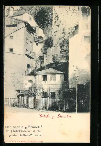 AK Salzburg, Steinthor mit Gebäuden