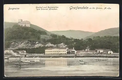AK Greifenstein an der Donau, Gasthof und Restauration zum braunen Hirschen, Burgruine, Dampfer