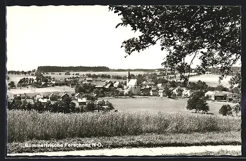 AK Ferschnitz, Ortsansicht mit Kirche