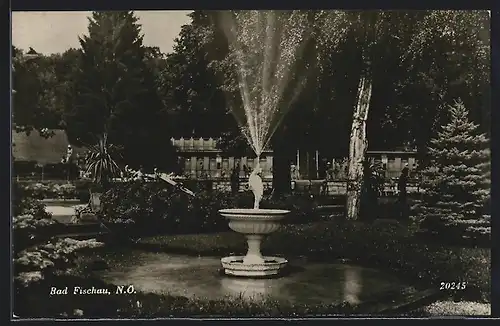 AK Bad Fischau, Anlagen mit Springbrunnen