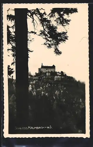 AK Krumbach, Blick zum Schloss