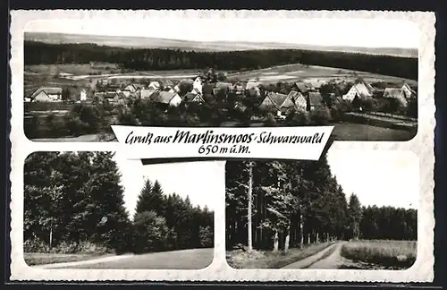 AK Martinsmoos /Schwarzw., Waldpartien, Gesamtansicht
