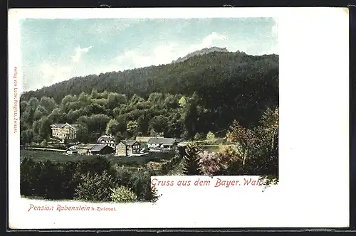 AK Rabenstein b. Zwiesel, Pension Rabenstein, Gruss aus dem Bayer. Wald