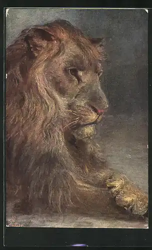 Künstler-AK Porträt eines Löwen