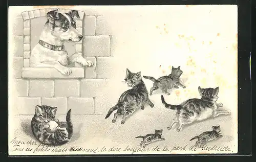 Präge-AK Hund am Fenster und spielende Katzen