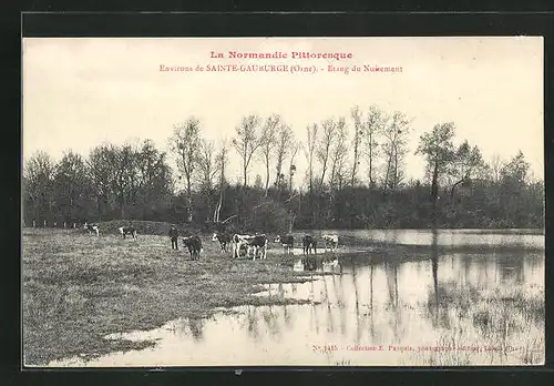 AK Sainte-Gauburge, Etang du Nuisement