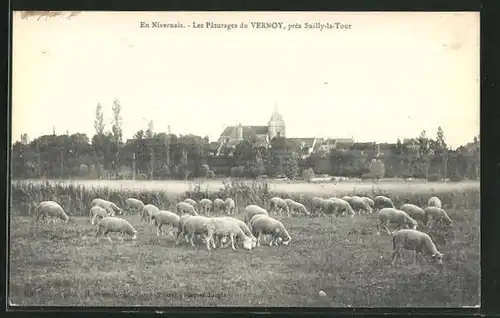 AK Vernoy, Les Paturages, Schafe auf der Weide