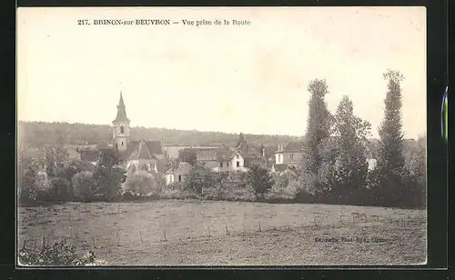 AK Brinon-sur-Beuvron, Vue prise de la Route