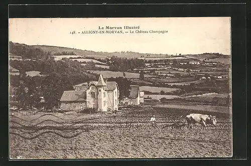 AK Alligny-en-Morvan, Le Chateau Champagne