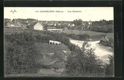 AK Champlémy, Vue Generale
