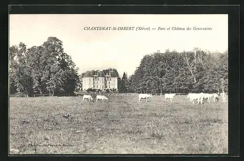 AK Chantenay-St-Imbert, Parc et Chateau des Genevrieres