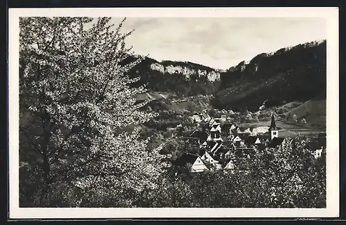 AK Gutenberg /Schwäb. Alb, Blick auf den Ort