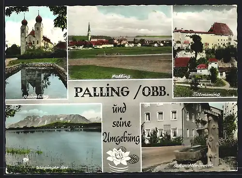AK Palling /Obb., Ortsansicht und Umgebung