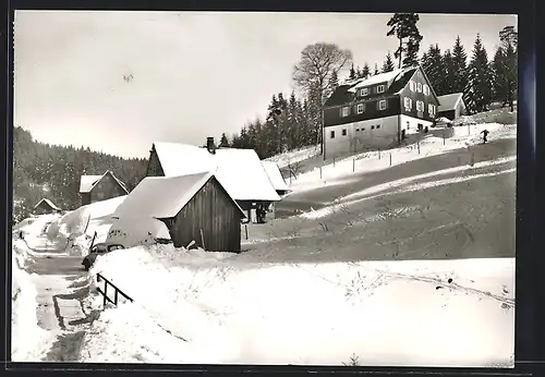 AK Hinterlangenbach /Schwarzwald, Forsthaus Auerhahn