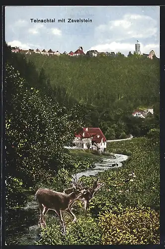 AK Teinachtal, Ortspartie mit Zavelstein und Rehen
