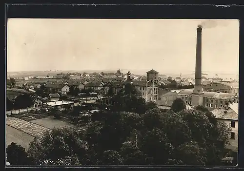 AK Neufeld a. d. L., Totalansicht mit Fabrik