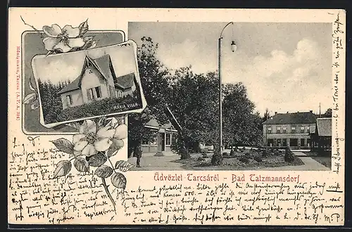 AK Bad Tatzmannsdorf, Maria Villa