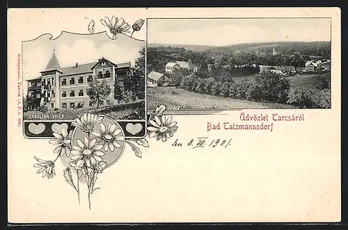 AK Bad Tatzmannsdorf, Ortsansicht, Karolina Villa