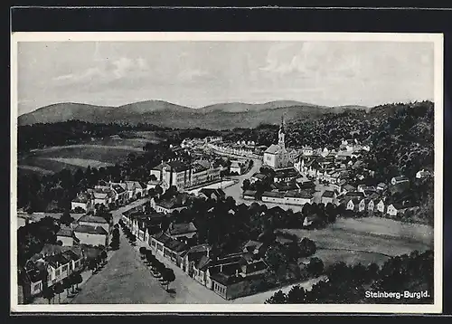 AK Steinberg, Ortsansicht aus der Vogelschau mit Kirche