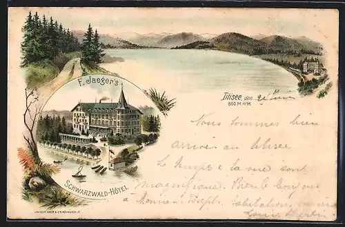 Lithographie Titisee, F. Jaegers Schwarzwald-Hotel mit Seeansicht