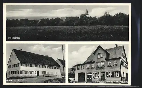 AK Ettlenschies, Gasthof zum Hirsch, Kolonialwaren G. Seibold, Ortspanorama