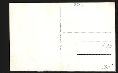 AK Ettlenschies, Gasthof zum Hirsch, Kolonialwaren G. Seibold, Ortspanorama