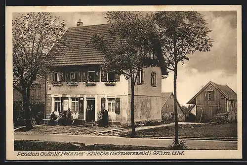 AK Kniebis /Schwarzwald, Pension Gotthilf Fahrner