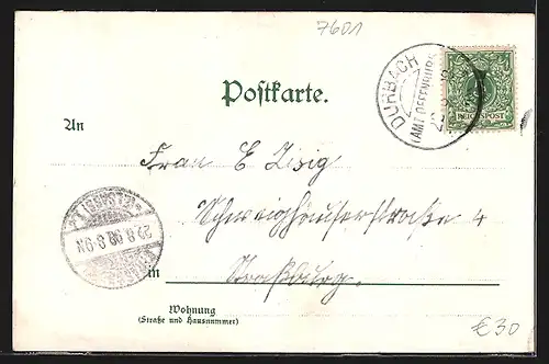 Lithographie Durbach, Gasthof zum Ritter, Schloss Staufenberg