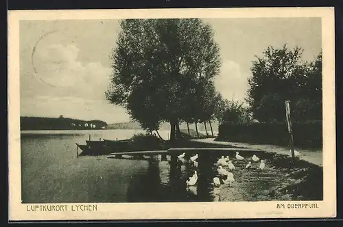 AK Lychen, Partie am Oberpfuhl mit Enten
